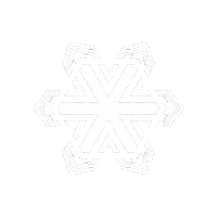 Accesssnowflake Sticker by Access Adventures