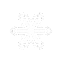 Snowflake Sticker by Access Adventures