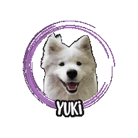 Cane Sticker by Asilo per cani Dog'sMind