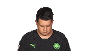 Fürth Elfenomeno Sticker by Bundesliga