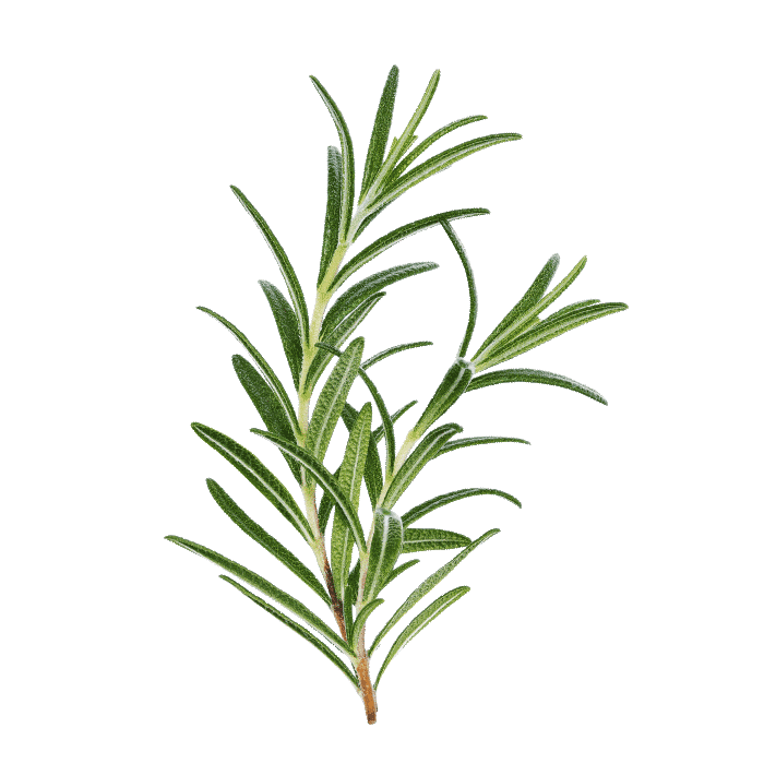 Hund Sticker by HelloBello Frischfutter