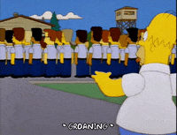 homer simpson episode 25 GIF