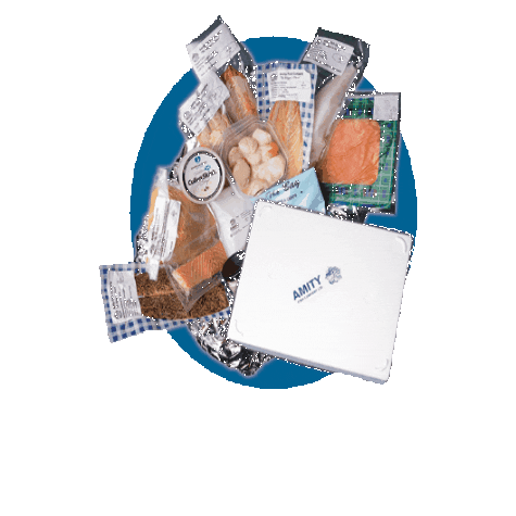 AmityFishCo giphyupload amity amity fish co amityfishco Sticker