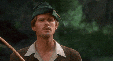 Are You Serious Robin Hood GIF