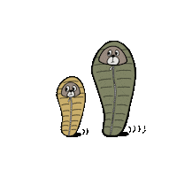 くま キャンプ Sticker
