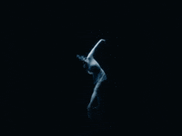 Dancer Ballet GIF by thuy