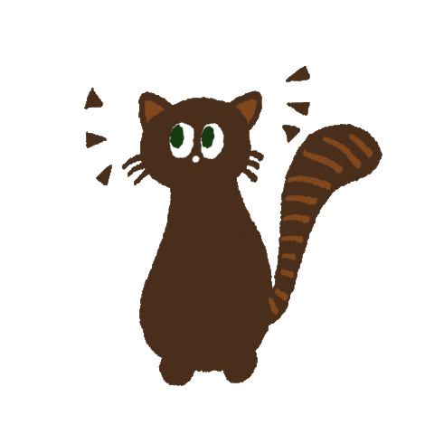 studiofnc giphyupload cat 猫 bucha Sticker