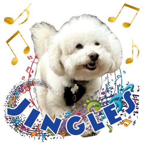 Bichon Frise Cute Dog Sticker by Pimp Yo Pets