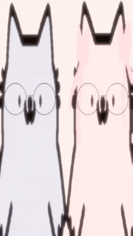 nubindia nub nubcat nubindia nub couples GIF