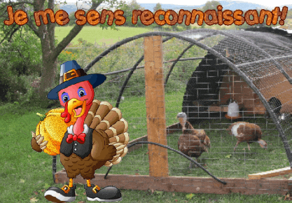 Spanish Thanksgiving GIF