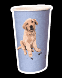 ShortStreetStore sss shortstreetstore shortstreetcafe short street cafe GIF