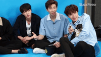 BTS With Puppies