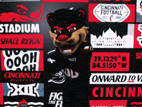 Football Bearcat GIF by Cincinnati Bearcats