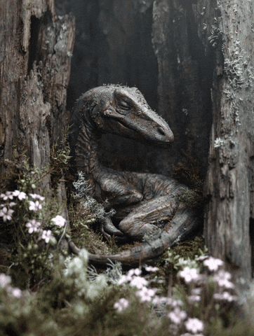 DinosaursWereHereFirst giphyupload sleepy sleepy dino sleepy dinosaur GIF