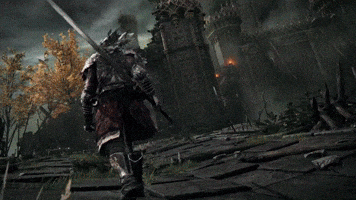 No Stranger To Adventure