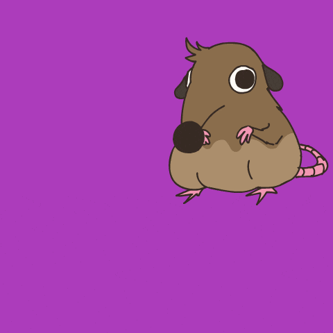 Exploding Blow Up GIF
