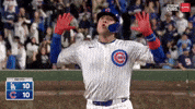 Chicago Cubs Sport GIF by TheDreamTeam 