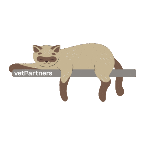 Cat Chill Sticker by VetPartners