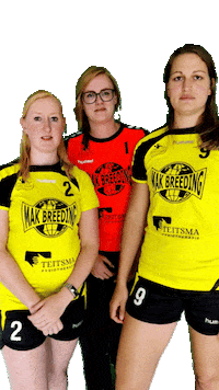 HVGeelZwart handbal geelzwart geel-zwart hvgeelzwart Sticker