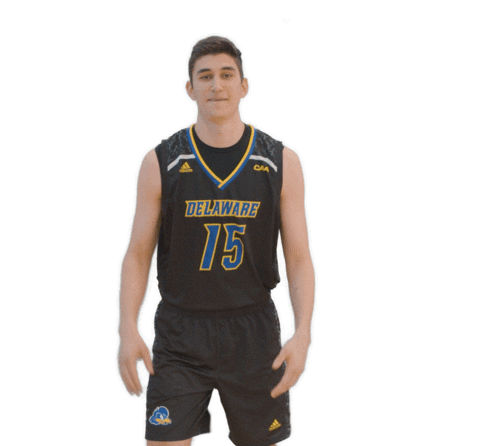 fun basketball Sticker by Delaware Blue Hens