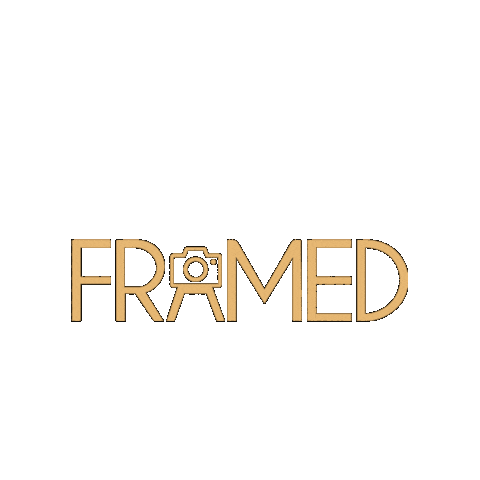 Frame Sticker by Framed Studios