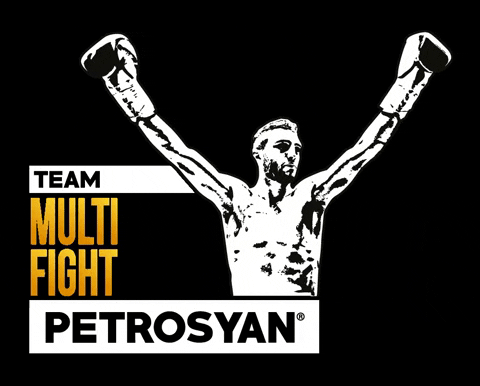 TeamPetrosyan giphygifmaker giphyattribution fight mma GIF
