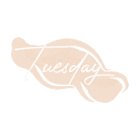 Day Week Sticker