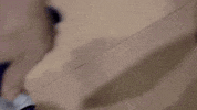 Carton Demenagement GIF by Safran