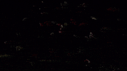 flower thank you GIF by ADWEEK
