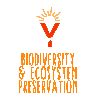 Activism Rays Sticker by RAINFOREST YOUTH SUMMIT