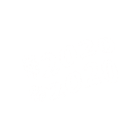 EELIN 2020 eelin 伊林娛樂 伊林 Sticker