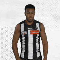 GIF by CollingwoodFC