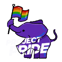 Gay Pride Florida Sticker by Project Pride