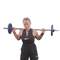 Fitness Workout Sticker by VideoBird Amsterdam