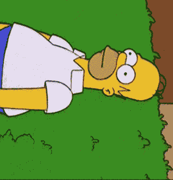 bed GIF