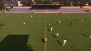 Passe Caleta Car GIF by Olympique de Marseille