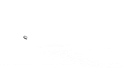 cat motion GIF by Eno Swinnen
