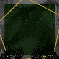 PrimusMicrocerveceria  GIF