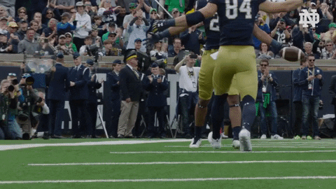 Celebration Hug GIF by Notre Dame Fighting Irish