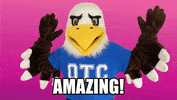 Eagle Ozzy GIF by Ozarks Technical Community College