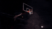 Alley Oop Williams GIF by Santa Clara Broncos