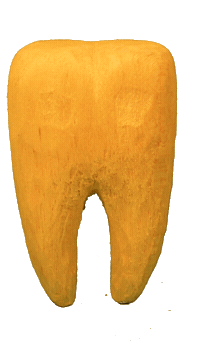 nonowe teeth wood nono nonowe Sticker