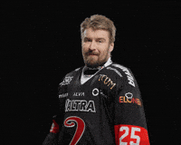 Hockey Liiga GIF by JYP