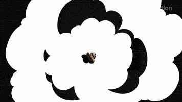 Smoke Cartoon Motion Studio Pack Studio 3