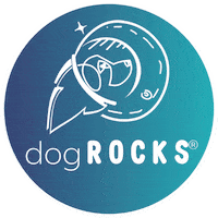 Dog Pet Sticker by Andy DogHouse