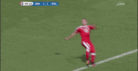 euro 2016 GIF by Sporza