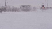 ver france GIF by Red Bull Racing