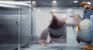 fall GIF by Angry Birds Movie