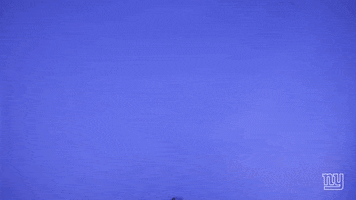G Men Sport GIF by New York Giants