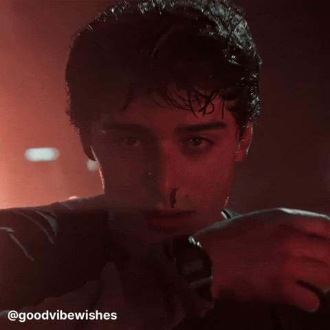 Will Stranger Things GIF